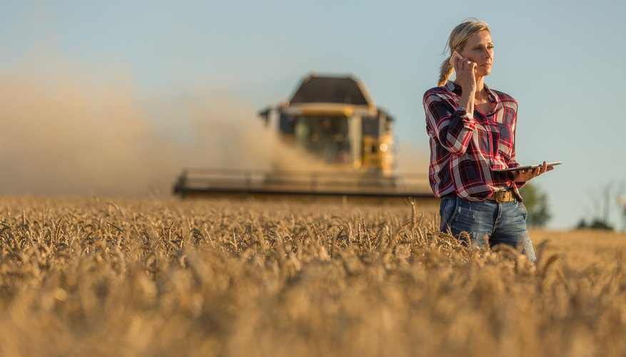 Propriétaires d’une entreprise agricole: Advenant un sinistre…êtes-vous prêts?